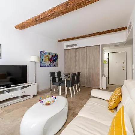 Le Meynadier Lumineux Dans Le Centre Historique, Proche Des Plages Et Palais Appartement *